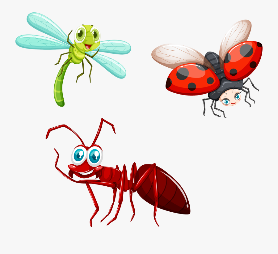 Insects Clipart Winged Insect - Black Ant Clip Art, Transparent Clipart