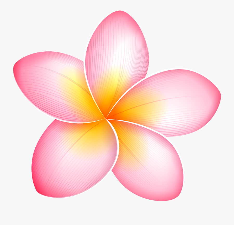 Pink Exotic Flower Png Clip Art - Tropical Flower Clipart Png, Transparent Clipart