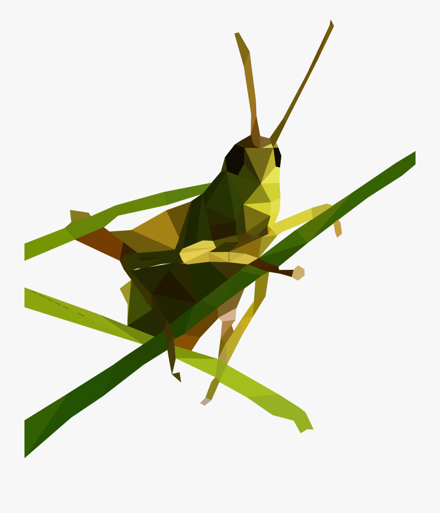 Grasshopper Clipart Insects - Grasshopper Low Poly, Transparent Clipart