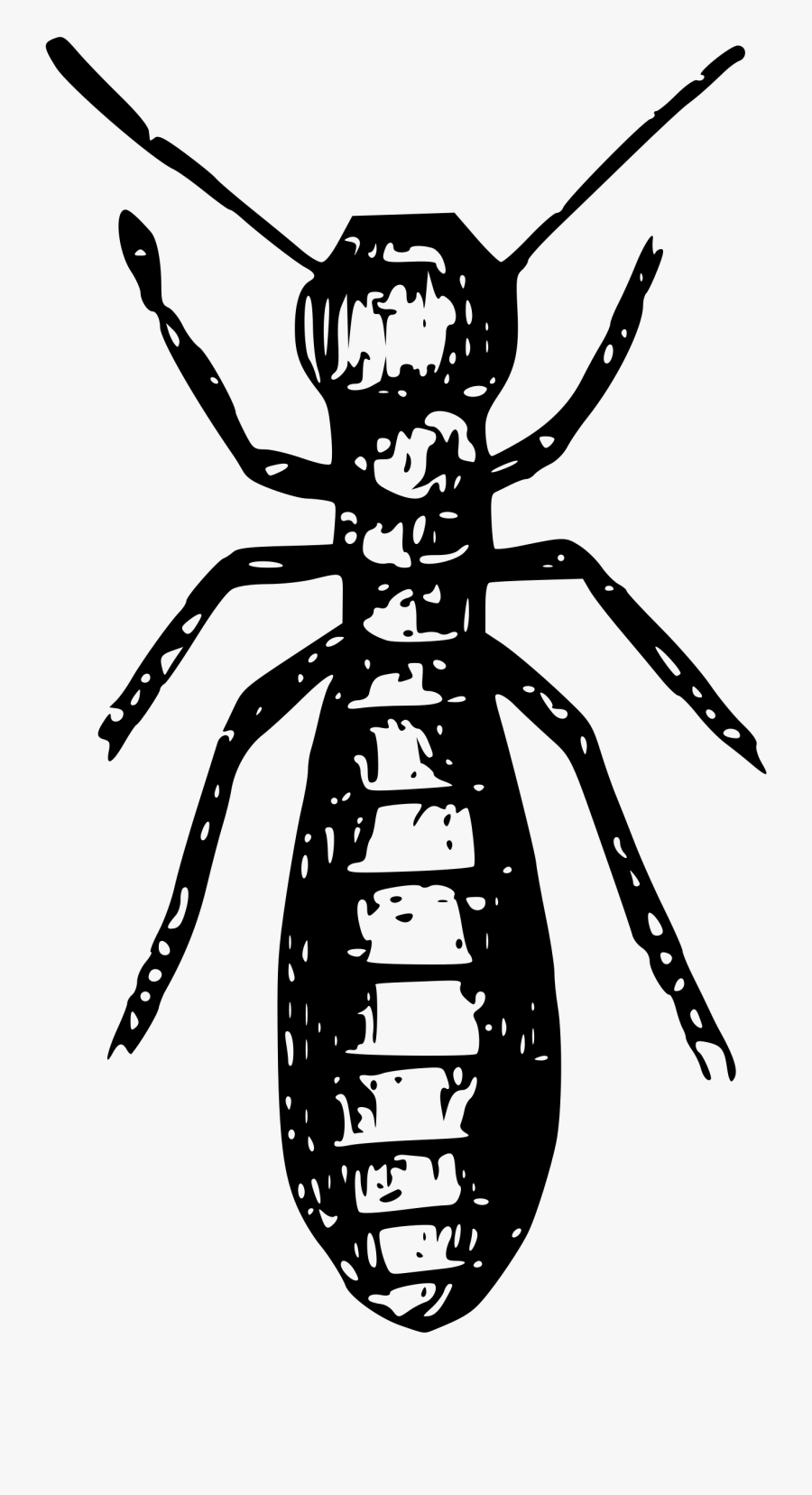 Termite Background Png - Termite Black And White, Transparent Clipart