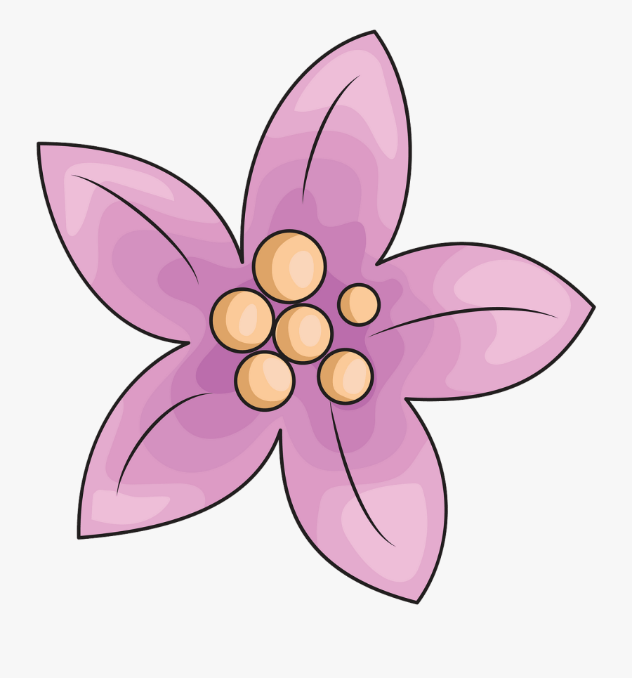 Cattleya, Transparent Clipart