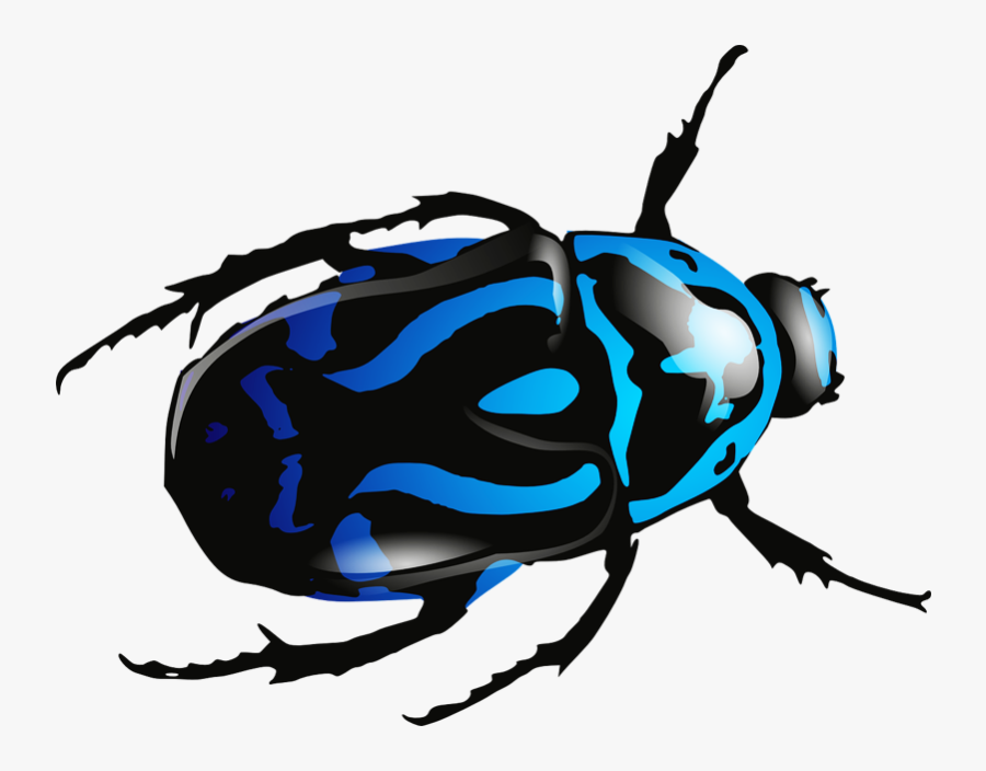 Blue Beetle Png Image - Blue Bug No Background, Transparent Clipart