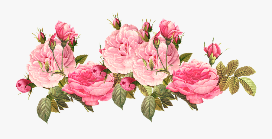 Image - Transparent Pink Flower Png, Transparent Clipart