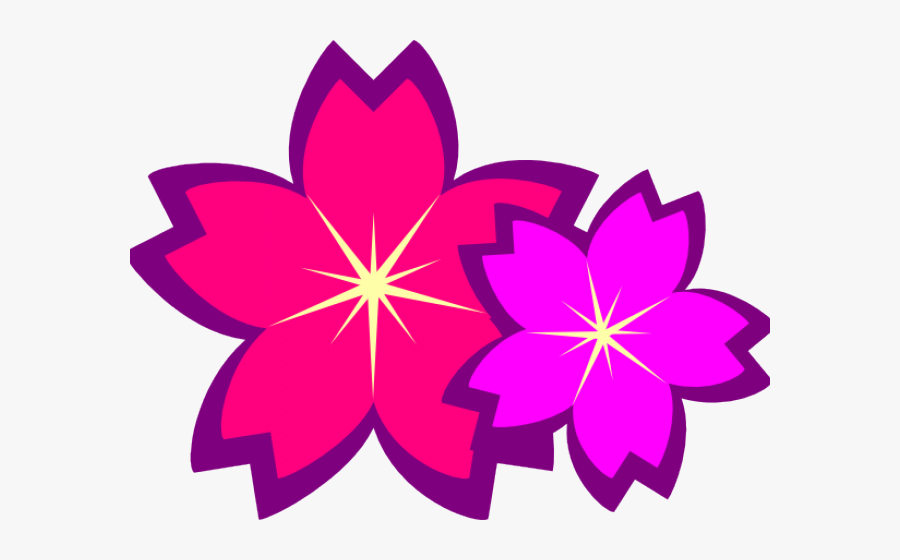 Cherry Blossom Flower Drawn, Transparent Clipart