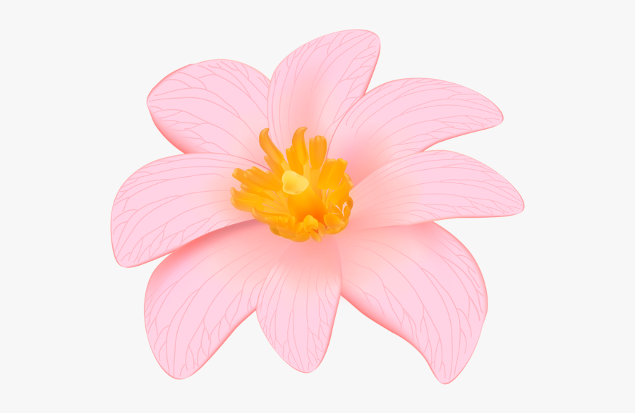 Portable Network Graphics, Transparent Clipart