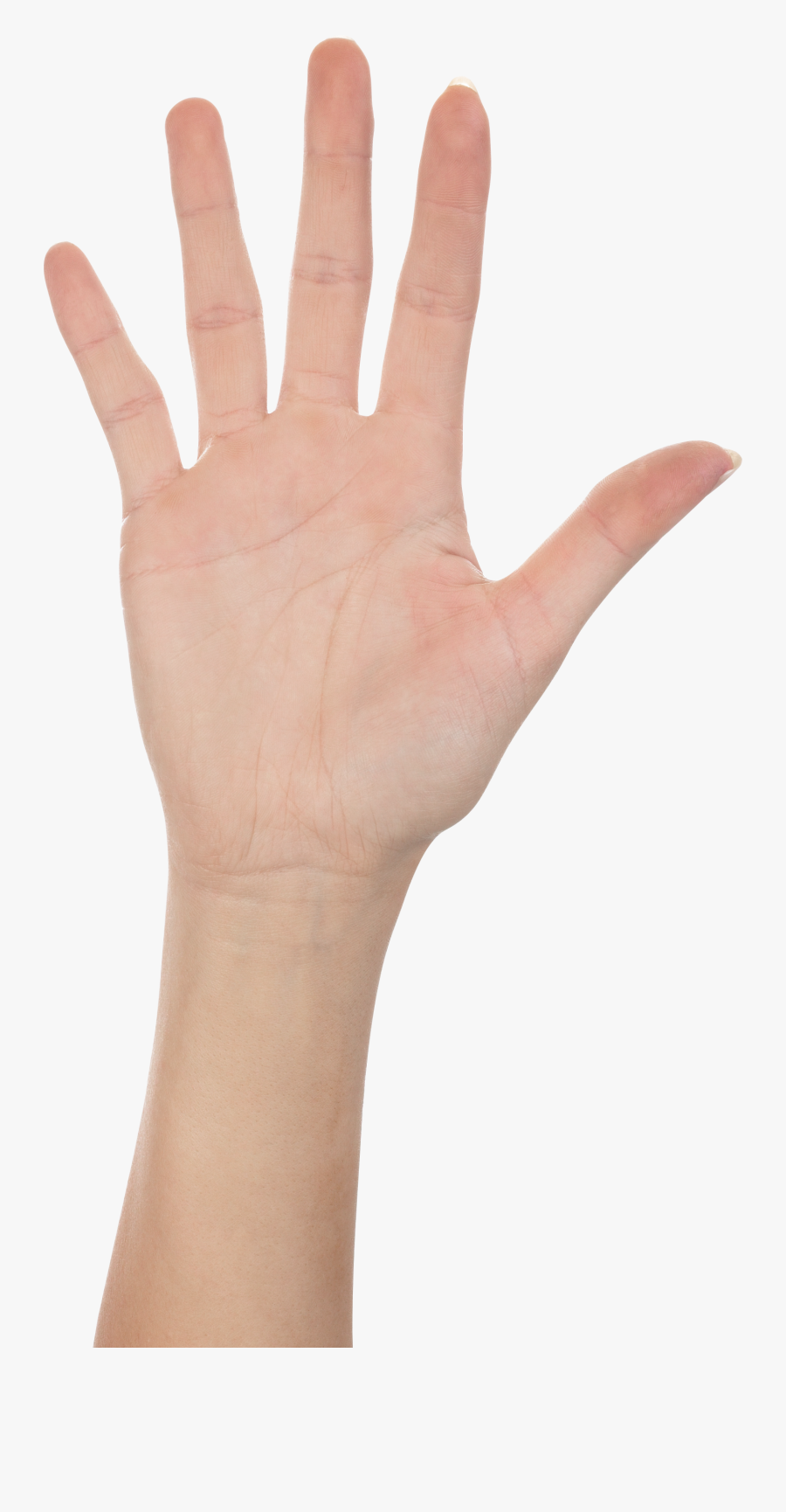 Clipart Hand Forearm - High Five Hand Png, Transparent Clipart