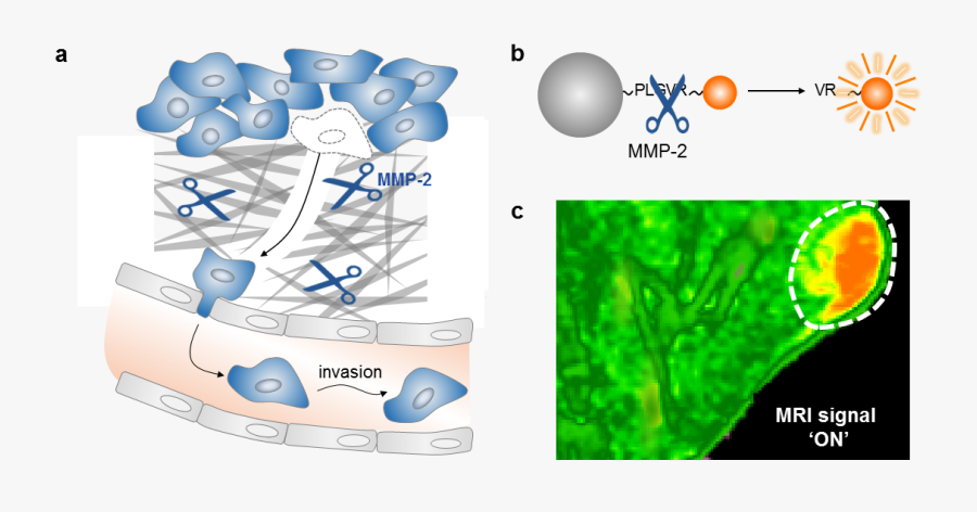 Transparent Invasion Clipart - Nano Mri, Transparent Clipart