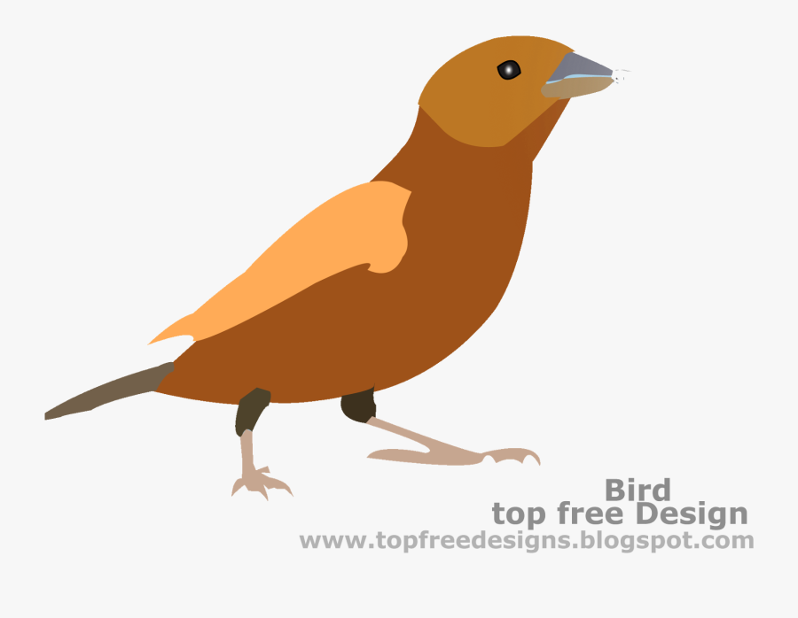 Freedom Leisure , Png Download - Freedom Leisure, Transparent Clipart