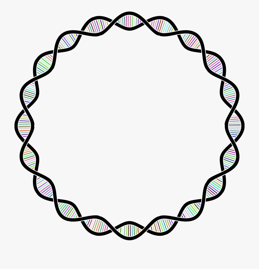 Institute Of Physics Sri Lanka Clipart , Png Download - Circular Dna Icon, Transparent Clipart