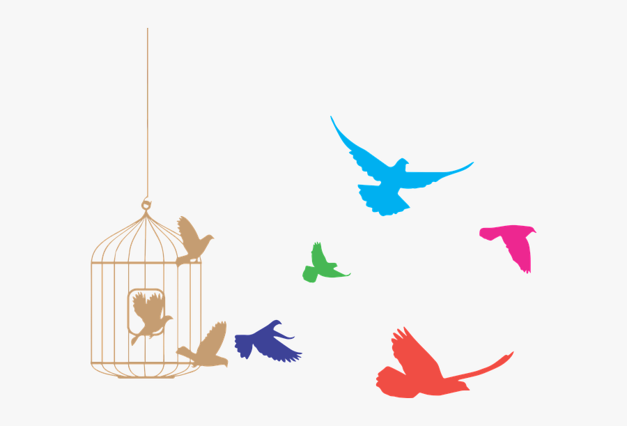 #free #freedom #birds #prison #animal #ftestickers - Flying Birds Tattoo Designs, Transparent Clipart