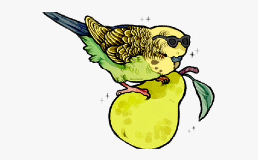 Budgie Clipart Pixel Art - Budgies Transparent, Transparent Clipart