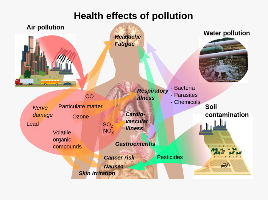 Effect Of Air Pollution On Human, Transparent Clipart