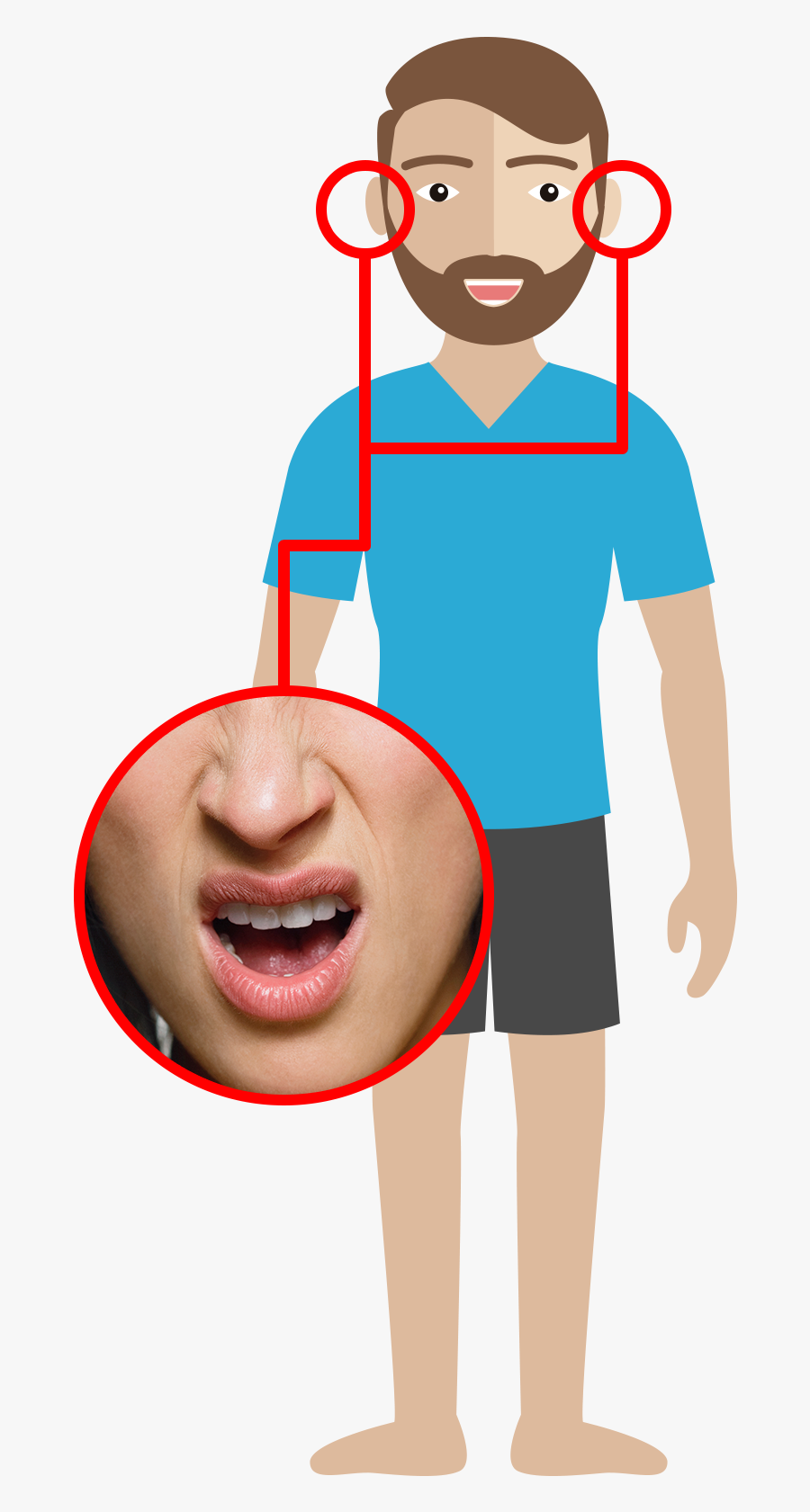 Clip Art, Transparent Clipart