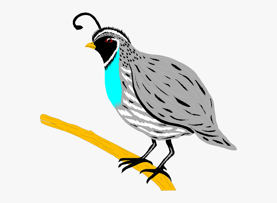 Clipart Quail, Transparent Clipart