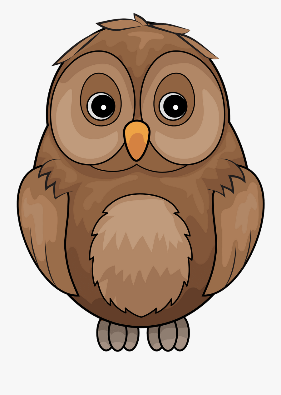 Owl, Transparent Clipart