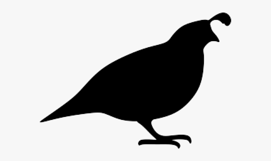 Quail Silhouette , Free Transparent Clipart - ClipartKey