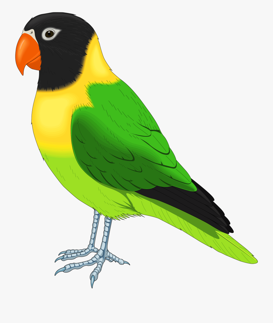 Quail Clip Art Black And White - Realistic Bird Clipart, Transparent Clipart