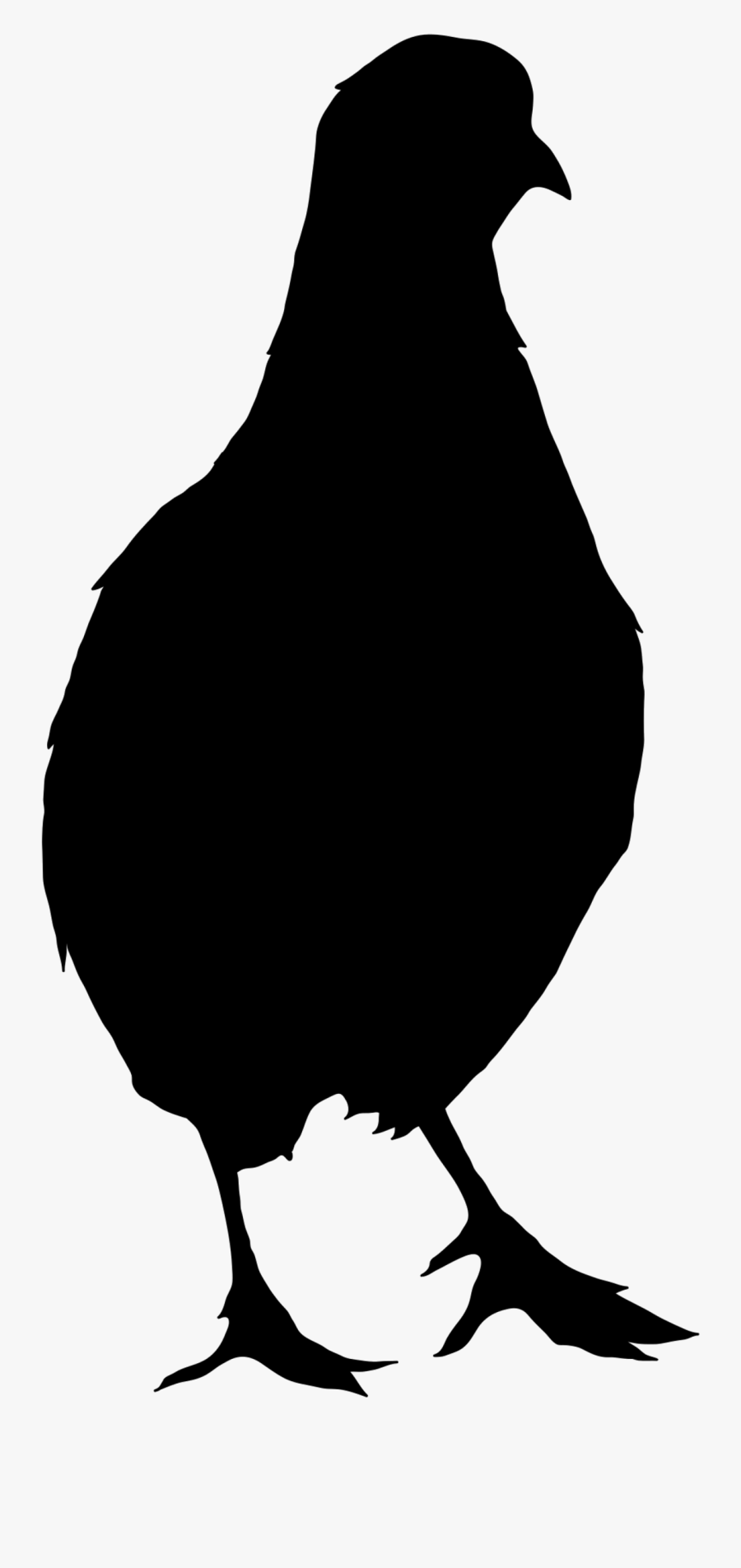 Northern Bobwhite Vector Graphics Chicken Silhouette - Puyuh Png Vector, Transparent Clipart