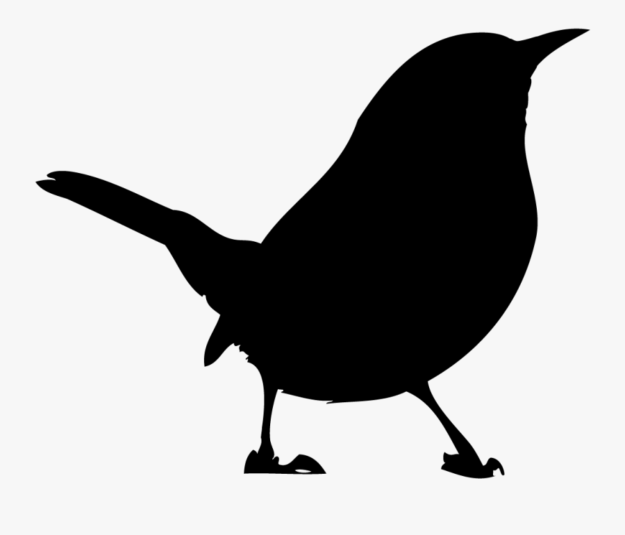 Clip Art Canyon Wren Overview All - Wren Bird Clip Art, Transparent Clipart