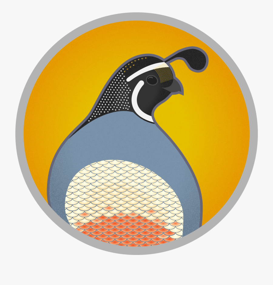 Quail Clipart State California Bird - California Quail, Transparent Clipart