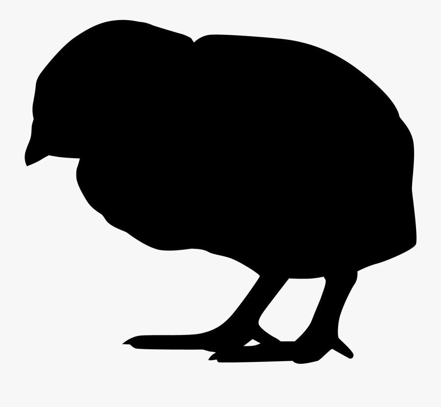 Silhouette Poussin, Transparent Clipart