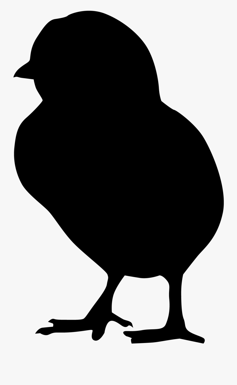 Silhouette Poussin - Coccidiosis Life Cycle In Poultry, Transparent Clipart