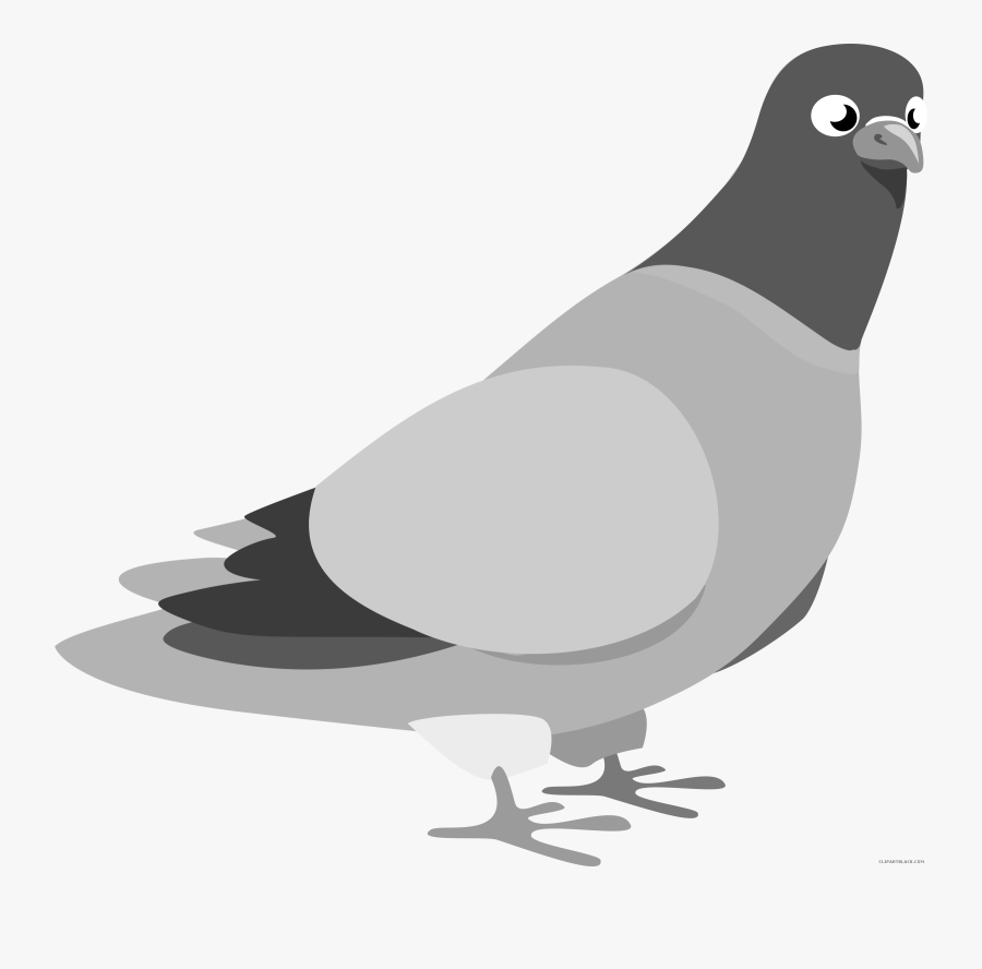 Pigeon Clipart Drawing - Pigeon Clip Art, Transparent Clipart