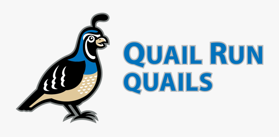 About Quail Run - Penguin, Transparent Clipart