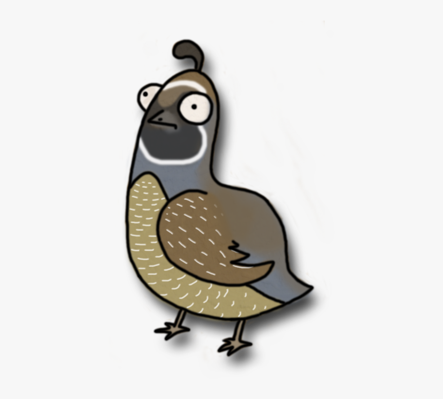 Quail Clipart Baby Quail - Clip Art , Free Transparent Clipart - ClipartKey