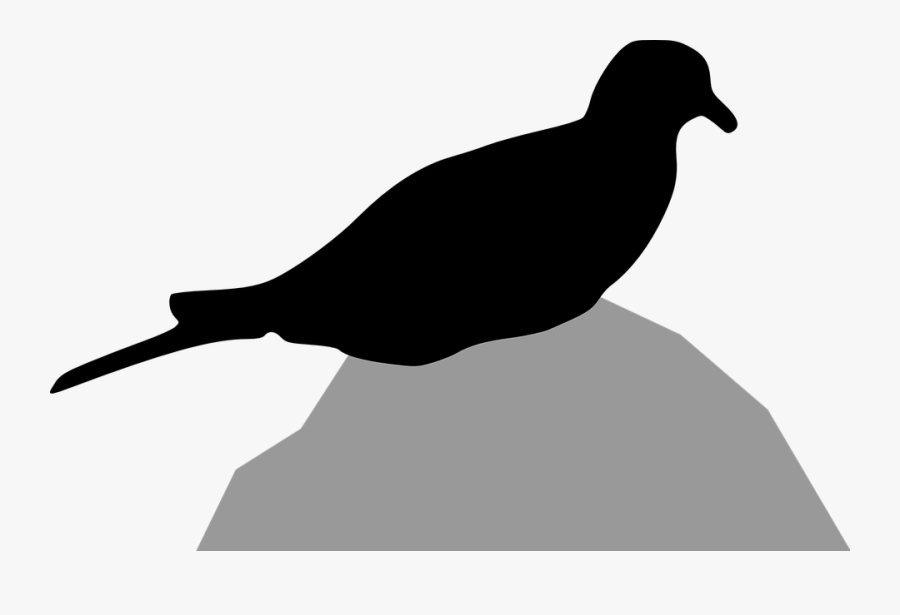 Dove Clipart, Vector Clip Art Online, Royalty Free - Pigeons And Doves, Transparent Clipart