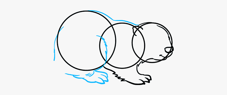 How To Draw A Beaver, Transparent Clipart