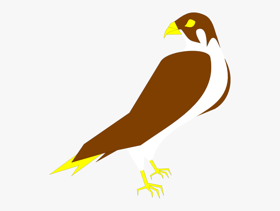 Falcon Clipart Falcon Clip Art - Falcon Clipart, Transparent Clipart