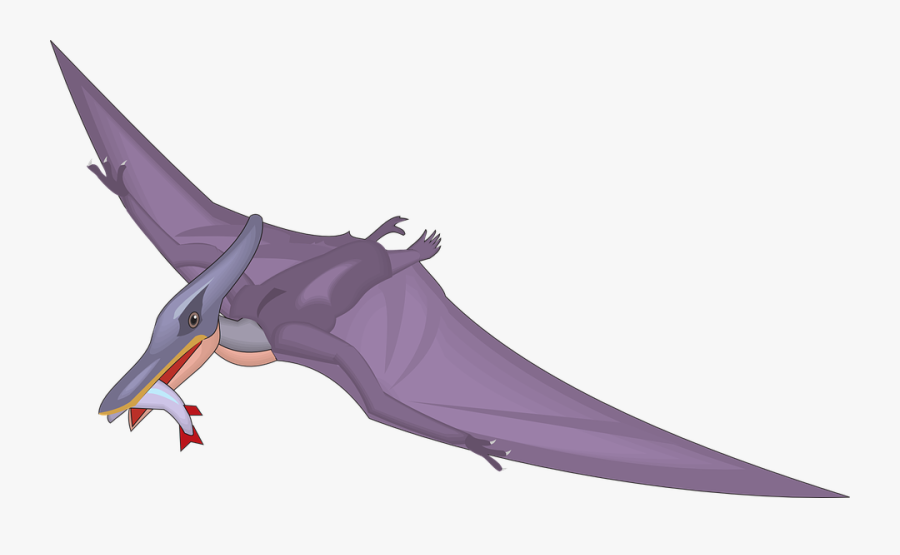 Dinosaur Clipart Bird - Pteranodon Clipart, Transparent Clipart