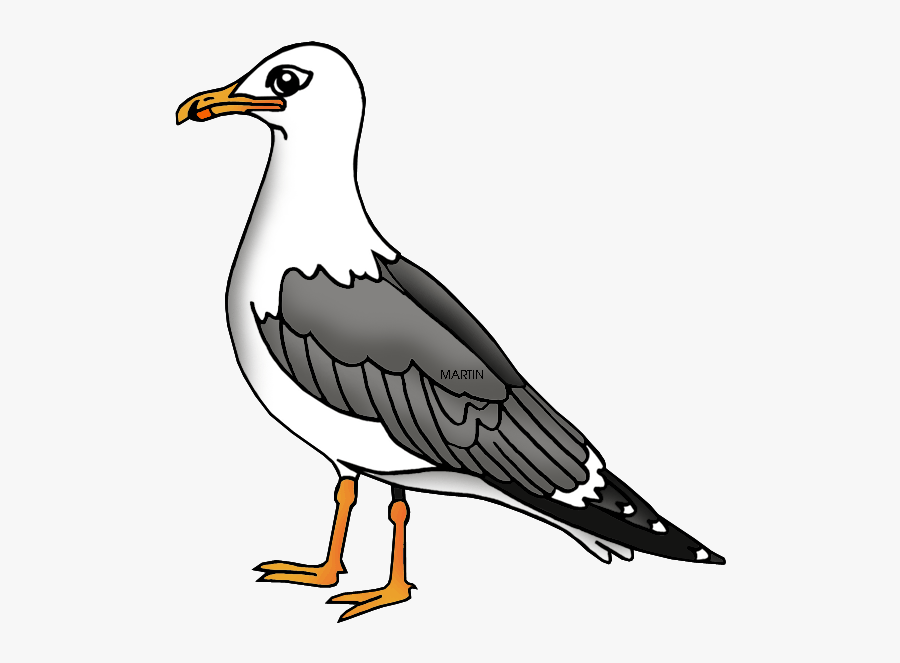 Clip Art United States Clip Art - Seagull Clipart, Transparent Clipart