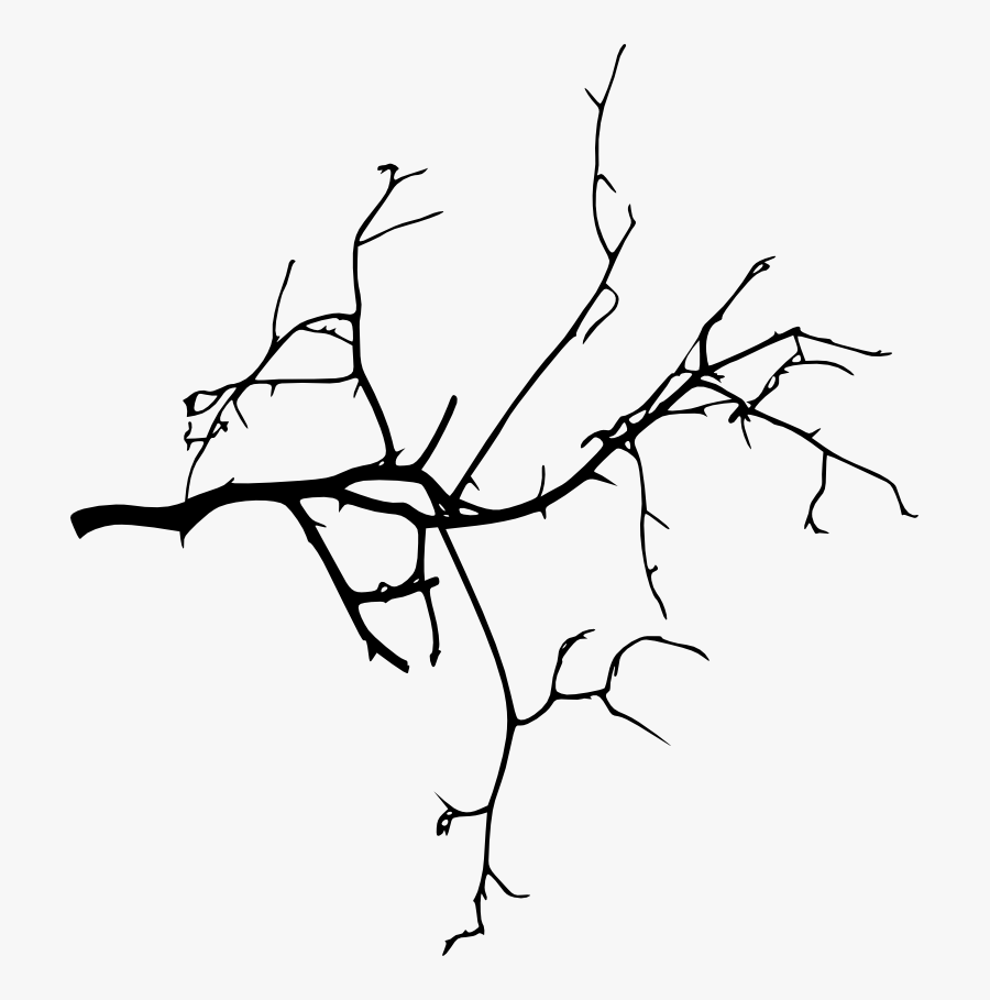 Stick Clipart Bare Branch - Tree Silhouette Black Tree Branches Png Transparent, Transparent Clipart