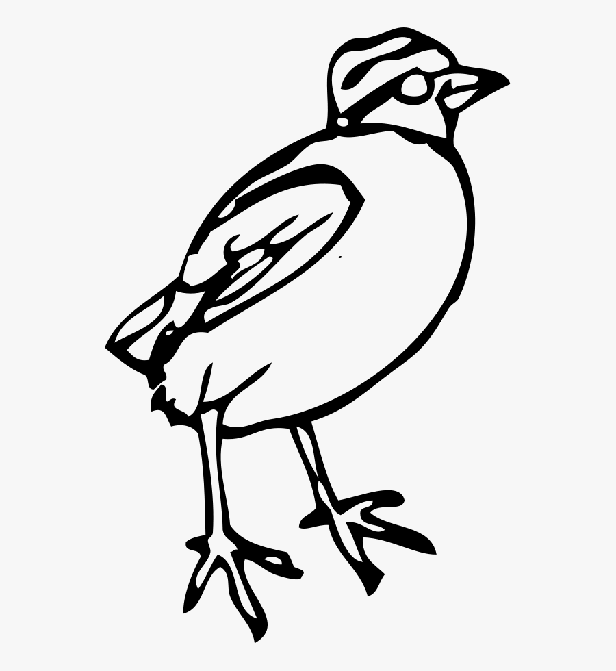 Quail Black And White Clipart - Bird Clipart, Transparent Clipart