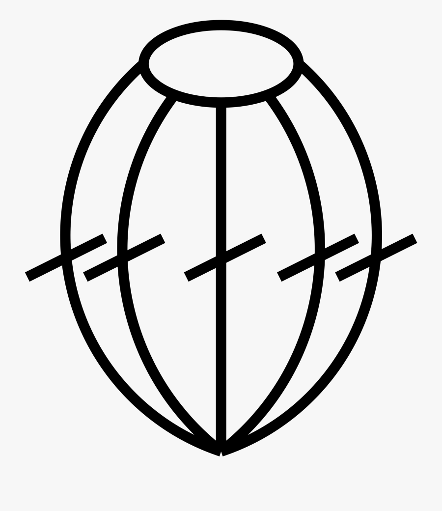 File Popcorn Wikimedia Commons - Circle, Transparent Clipart