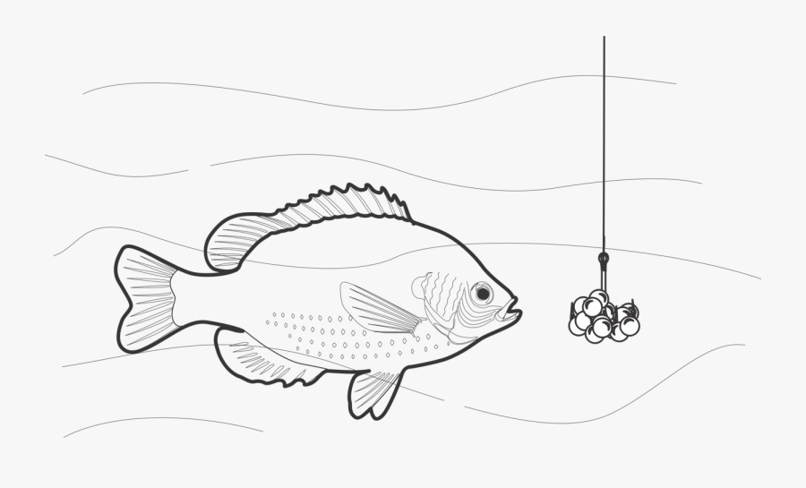 Art,monochrome Photography,fish - Fishing, Transparent Clipart