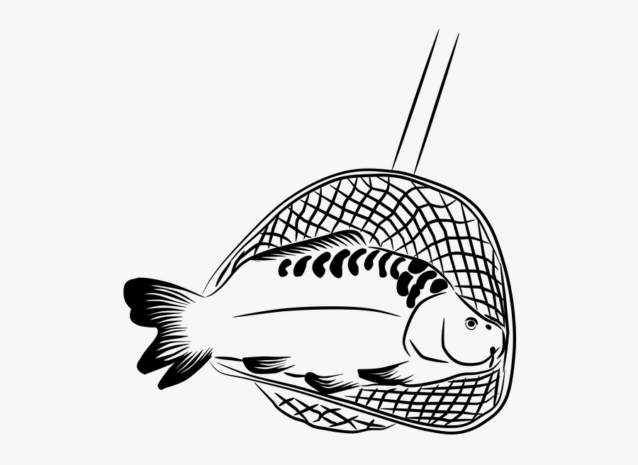 Fisherman Clipart Net - Fish In The Net Clip Art, Transparent Clipart