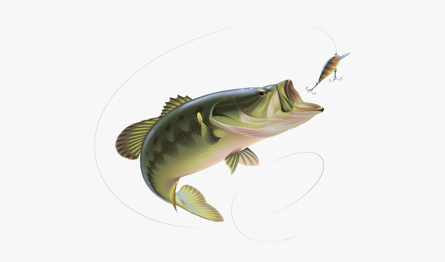 Svg Library Stock Bait Rods Deanlevin Info - Fishing Rod With Fish Png, Transparent Clipart