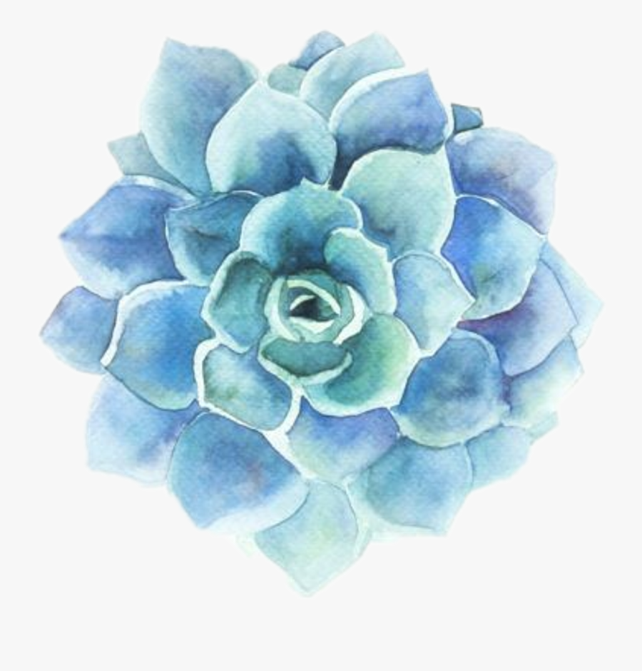 Tumblr Blue Flower Blueflower Banner Royalty Free, Transparent Clipart
