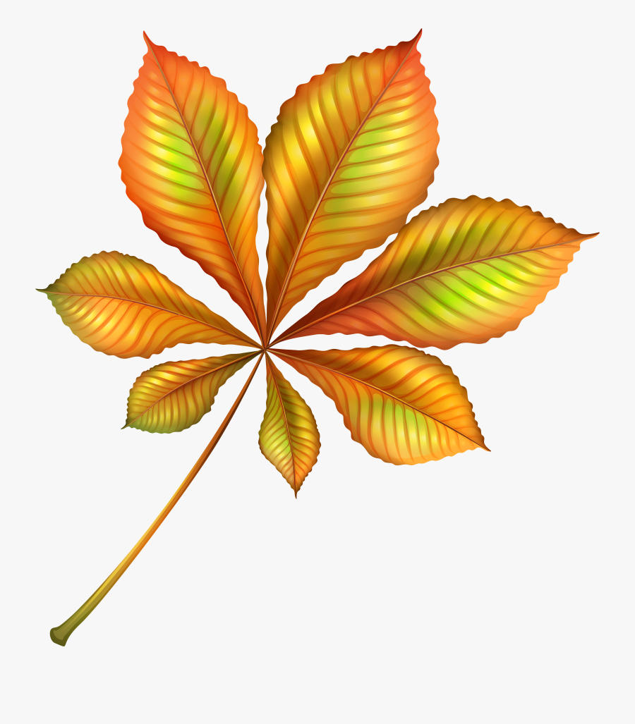 Beautiful Leaf Clip Art, Transparent Clipart