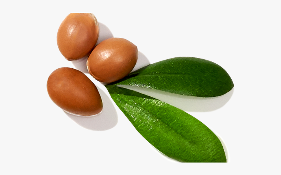 Resting Clipart Shampoo - Bud, Transparent Clipart