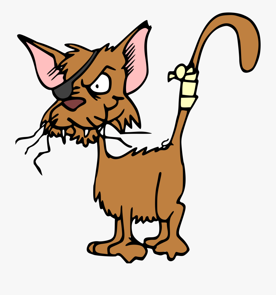 Stray Cat Clip Art, Transparent Clipart