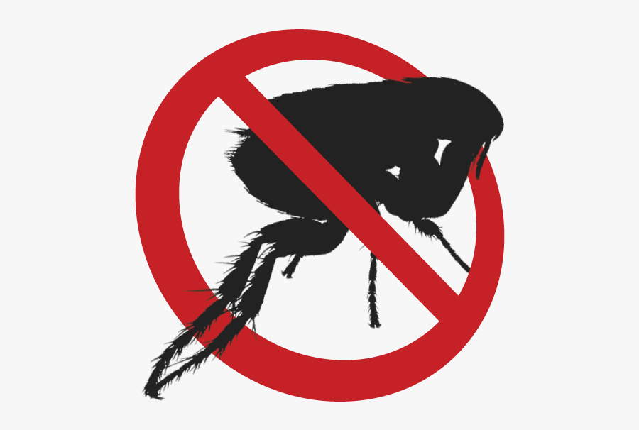 Download Flea Download Png Image - No Flea Logo Png, Transparent Clipart