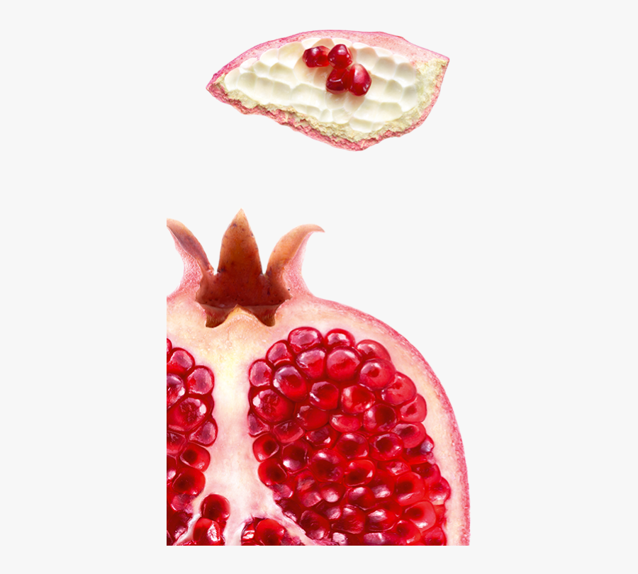Nettle Home Middle Left"
 Title="nettle Home Middle - Transparent Pomegranate Seeds Png, Transparent Clipart