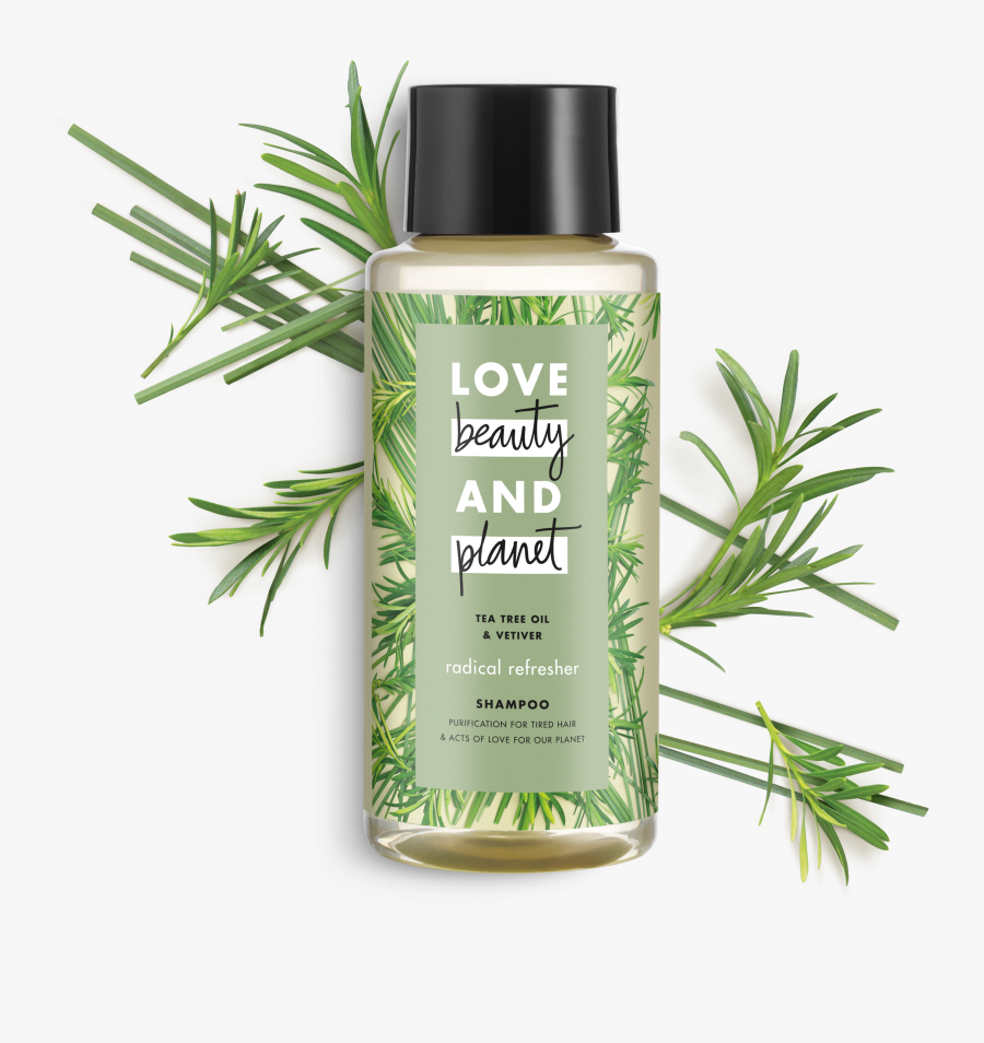 Love Beauty And Planet Tea Tree Oil & Vetiver Shampoo, Transparent Clipart