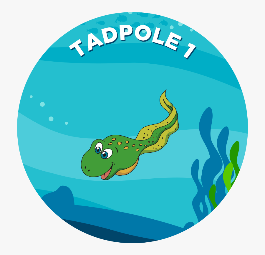 Tadpole - Tadpole In Water Clipart, Transparent Clipart