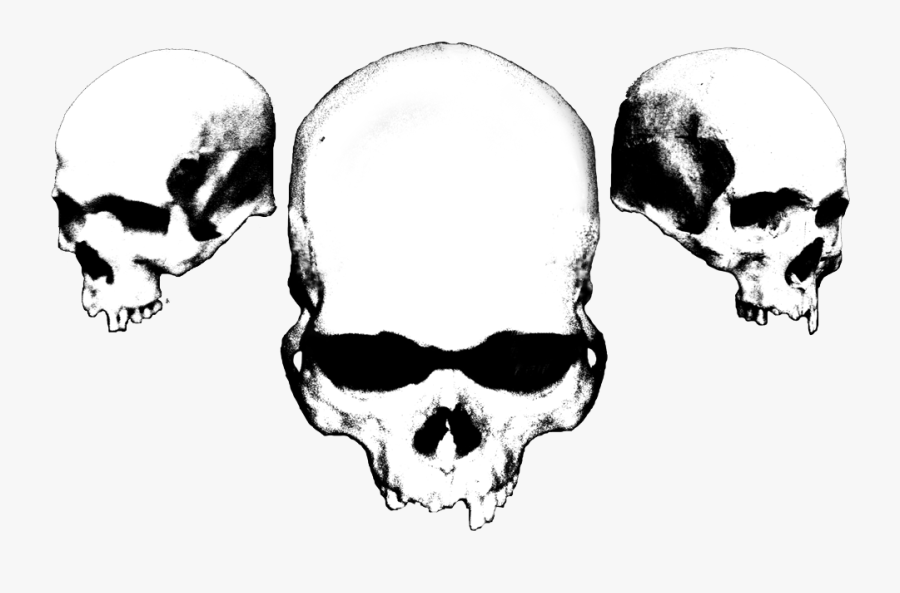 Black And White Skulls, Transparent Clipart