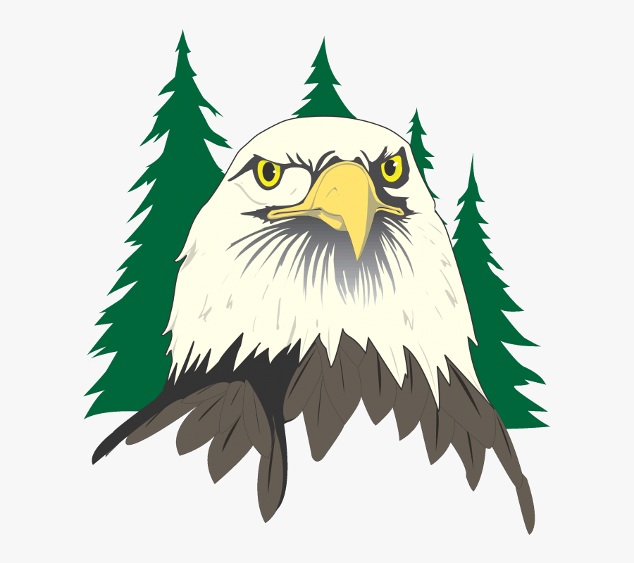 Bald Eagle Head Clip Art - Flagstaff High School Logo, Transparent Clipart